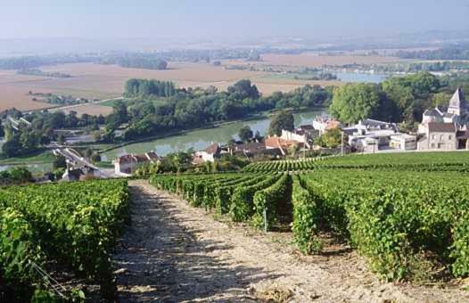 Le Clos Corbier Mareuil-sur-Ay Exterior photo